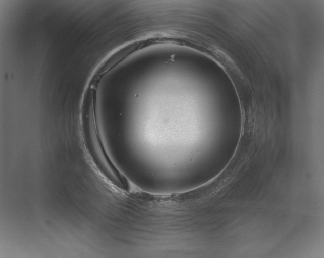 X0000070210784200606021254