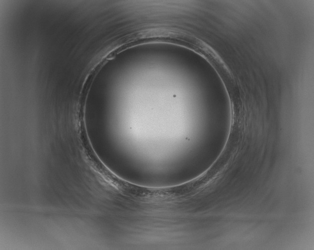 X0000070210786200606021254