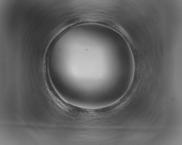 X0000070210787200606021254