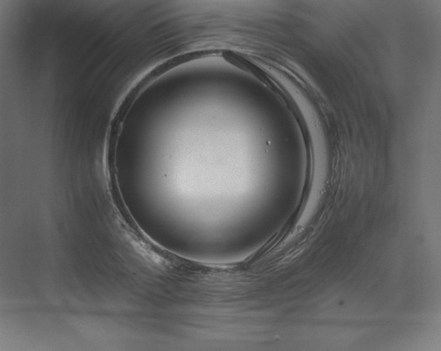 X0000070210788200606021254