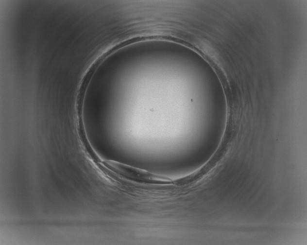 X0000070210789200606021254