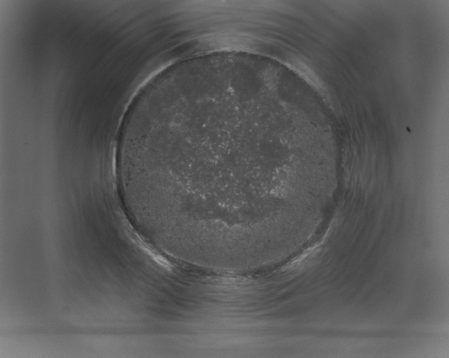 X0000070210790200606021254