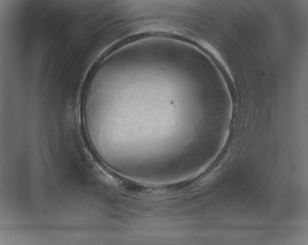 X0000070210791200606021254