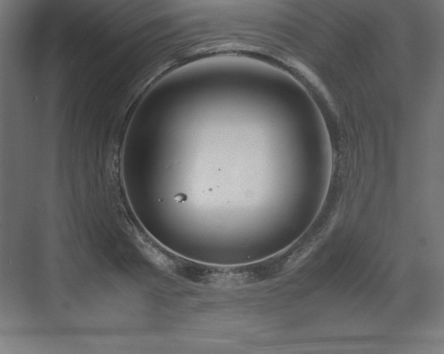 X0000070210793200606021254