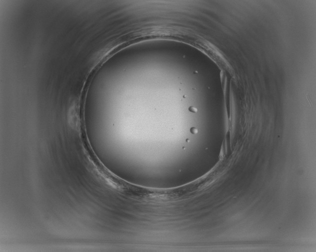 X0000070210794200606021254