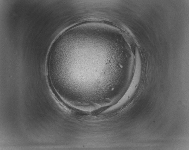 X0000070210795200606021254