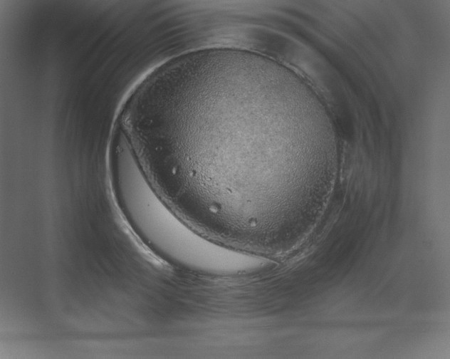 X0000070210796200606021254