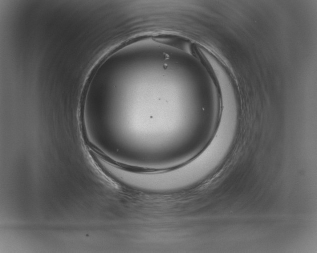 X0000070210797200606021254