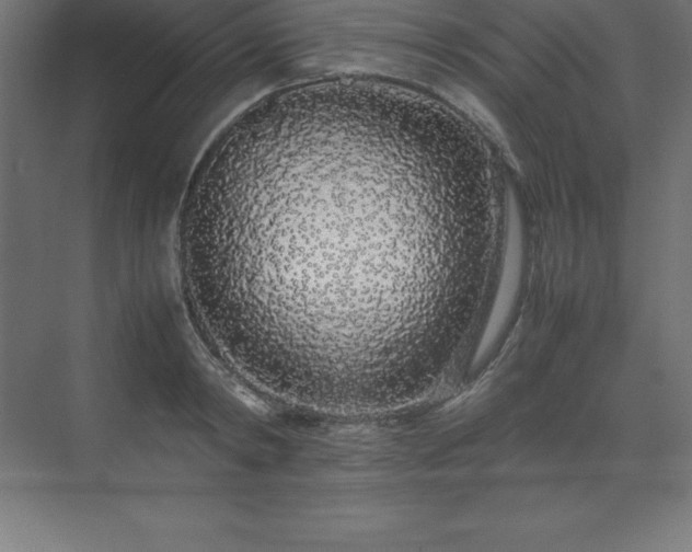 X0000070210798200606021254