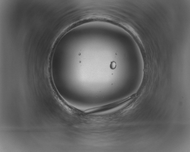 X0000070210799200606021254