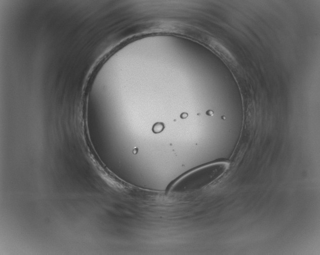 X0000070210800200606021254