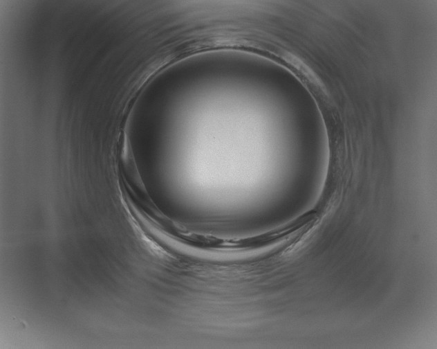 X0000070210801200606021254