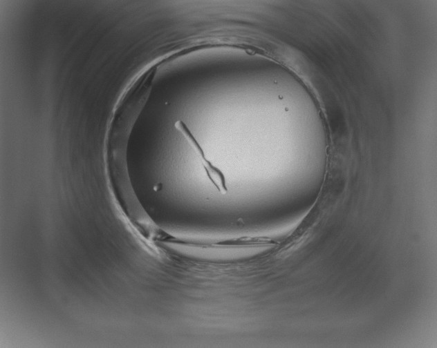 X0000070210803200606021254