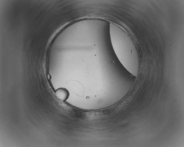 X0000070210804200606021254