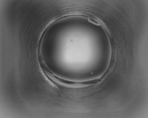 X0000070210805200606021254