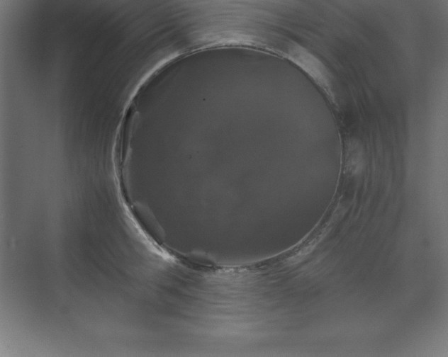 X0000070210806200606021254