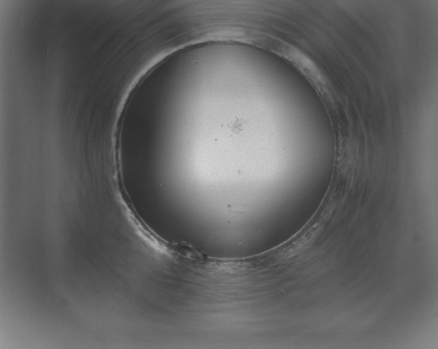 X0000070210808200606021253