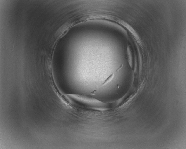 X0000070210809200606021253