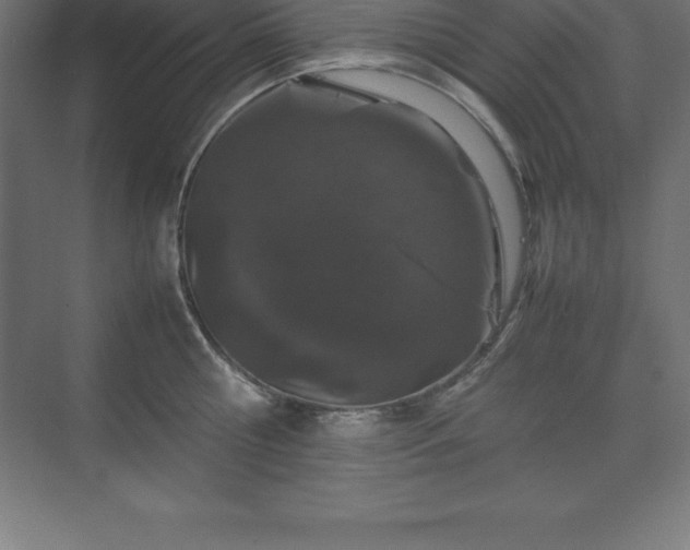 X0000070210810200606021253