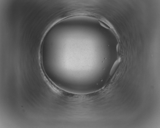 X0000070210811200606021253