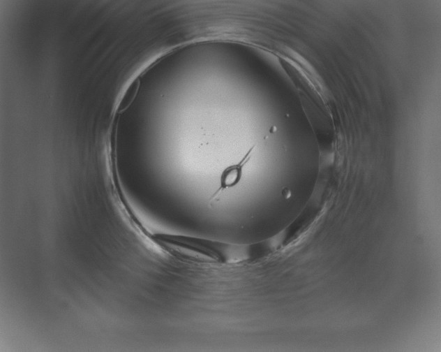 X0000070210812200606021253