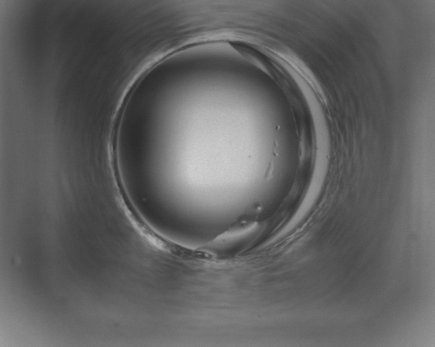 X0000070210813200606021253