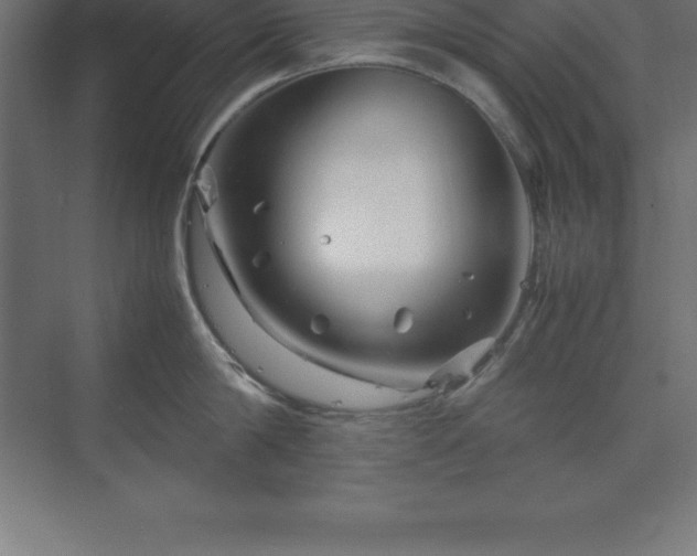 X0000070210814200606021253