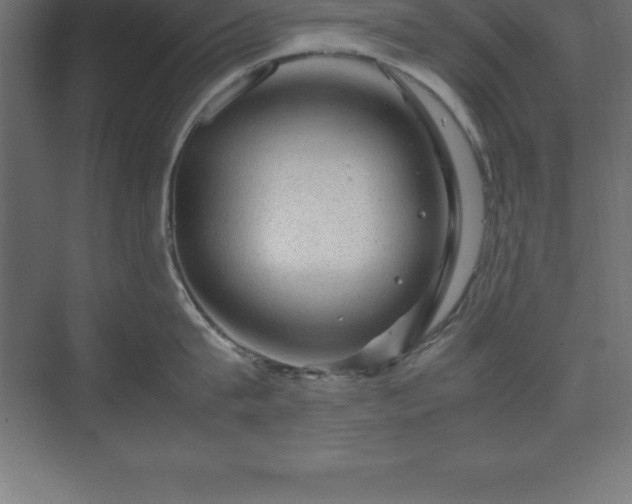 X0000070210815200606021253