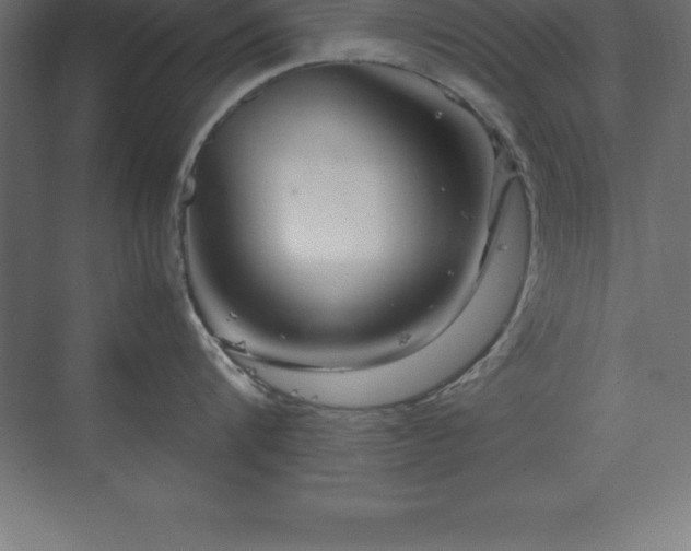 X0000070210816200606021253