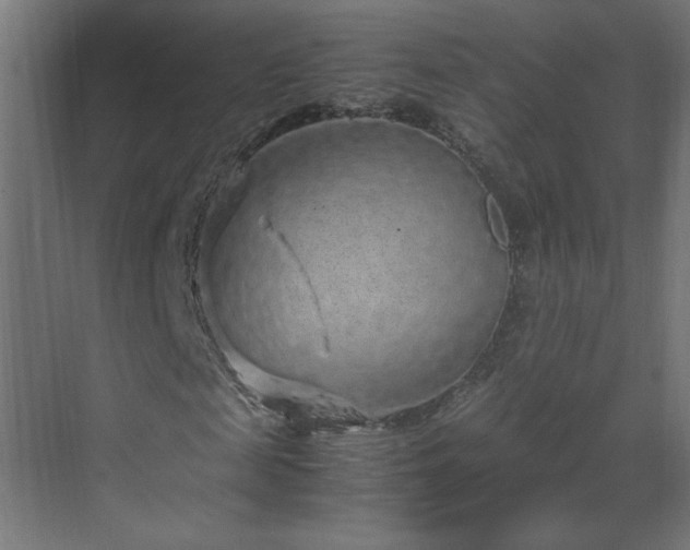 X0000070210817200606021253