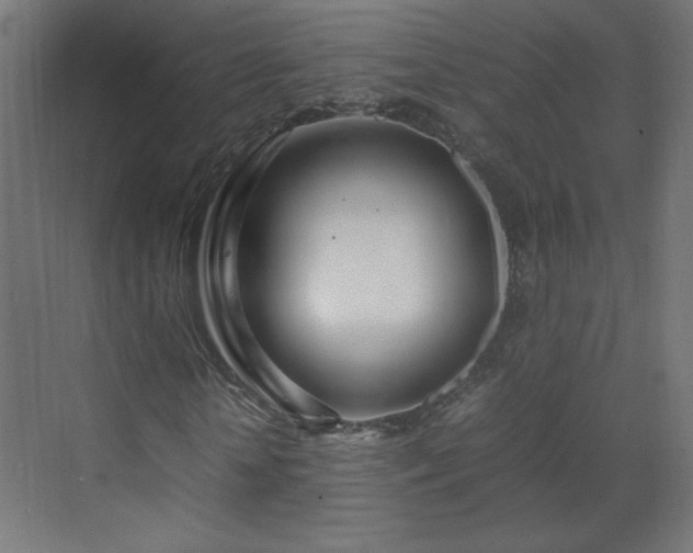 X0000070210818200606021253