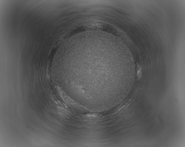 X0000070210819200606021253