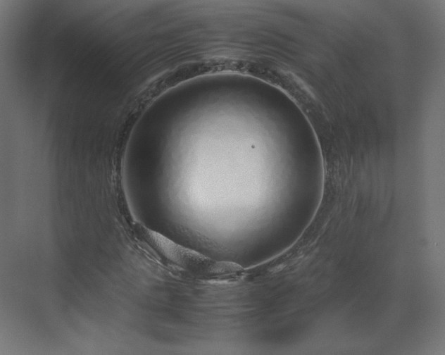 X0000070210821200606021253