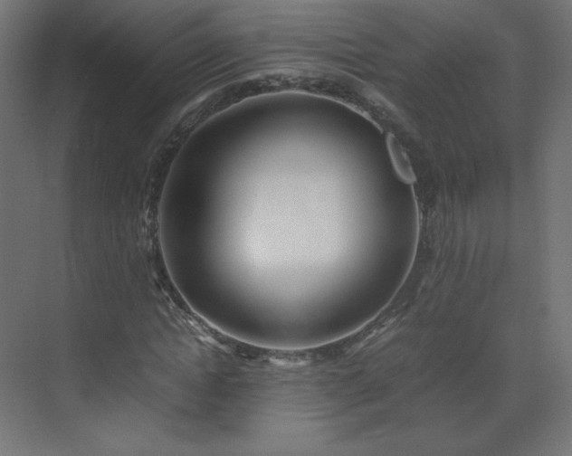 X0000070210822200606021253