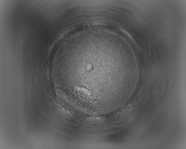 X0000070210823200606021253