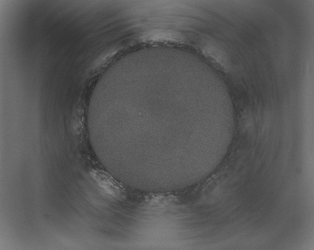 X0000070210824200606021253