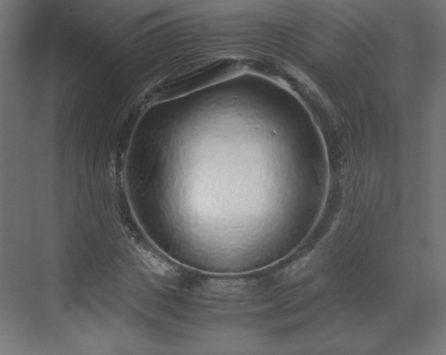 X0000070210825200606021253