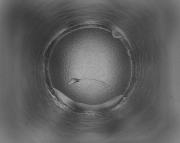 X0000070210827200606021253