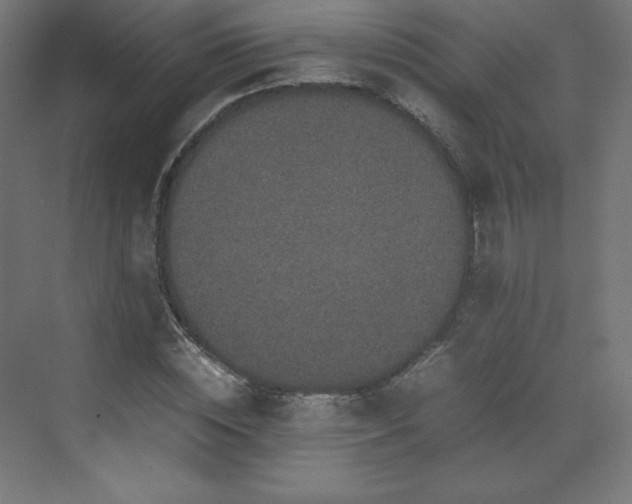 X0000070210828200606021253