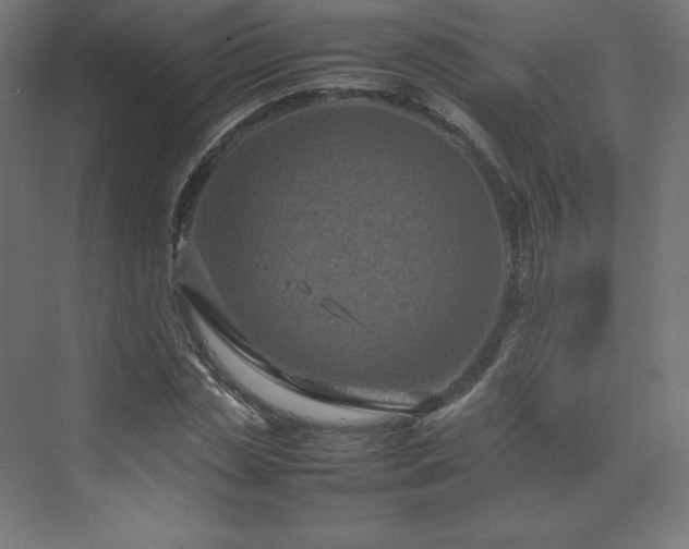 X0000070210829200606021253