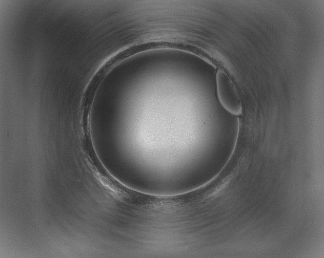 X0000070210830200606021253