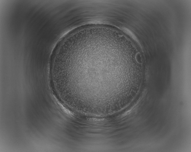 X0000070210831200606021253