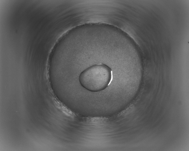 X0000070210832200606021253