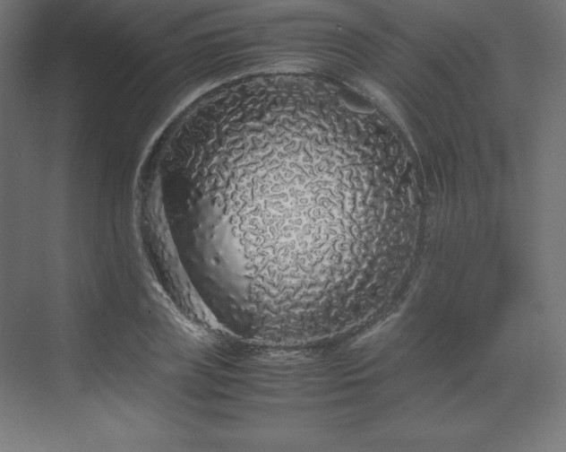 X0000070210835200606021253