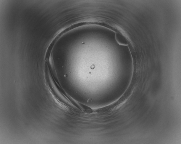 X0000070210837200606021253