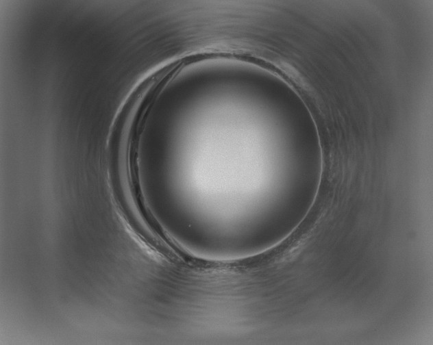 X0000070210838200606021253