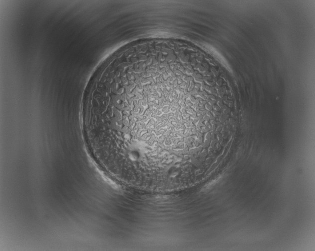 X0000070210839200606021253