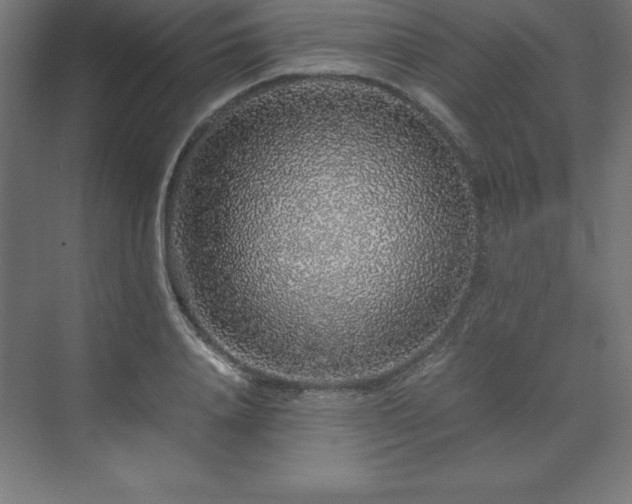 X0000070210840200606021253