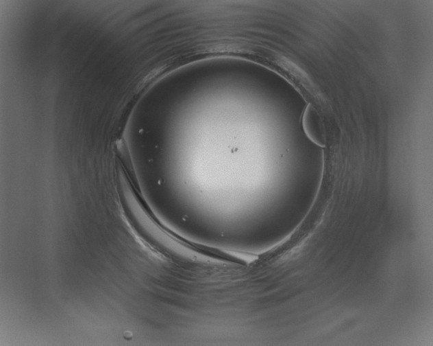 X0000070210841200606021253