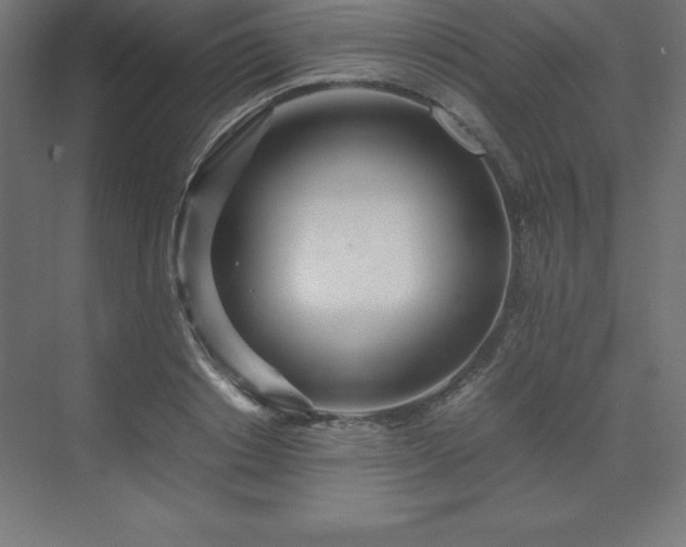 X0000070210842200606021253